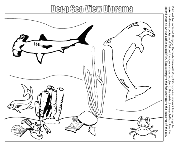Animales marinos #440