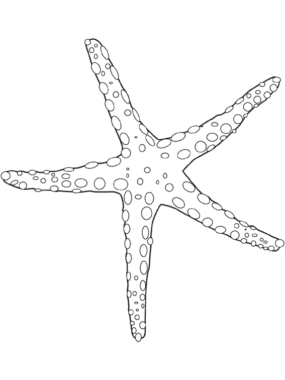Animales marinos #441