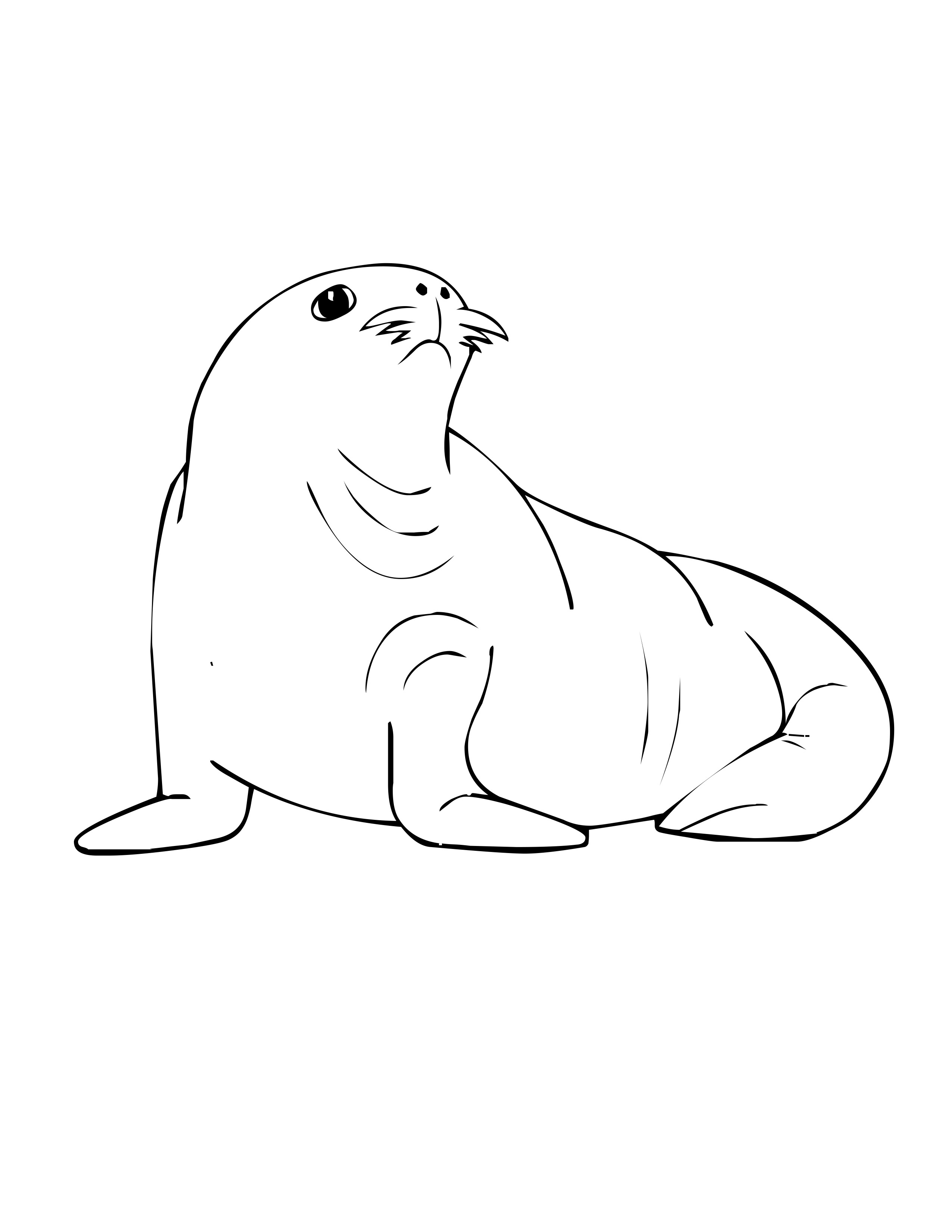 Animales marinos #444
