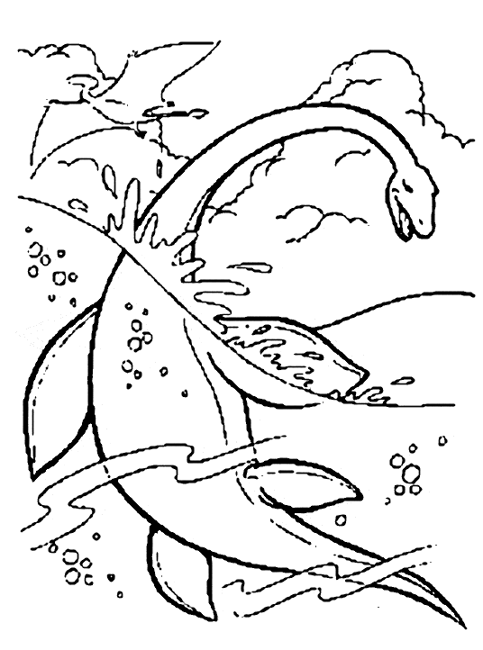 Animales marinos #454