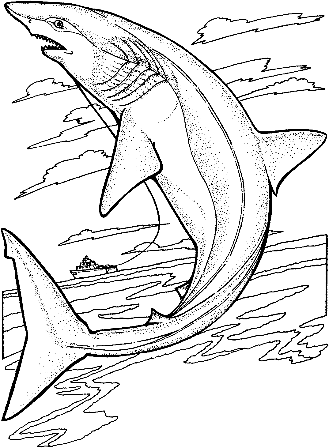 Animales marinos #462