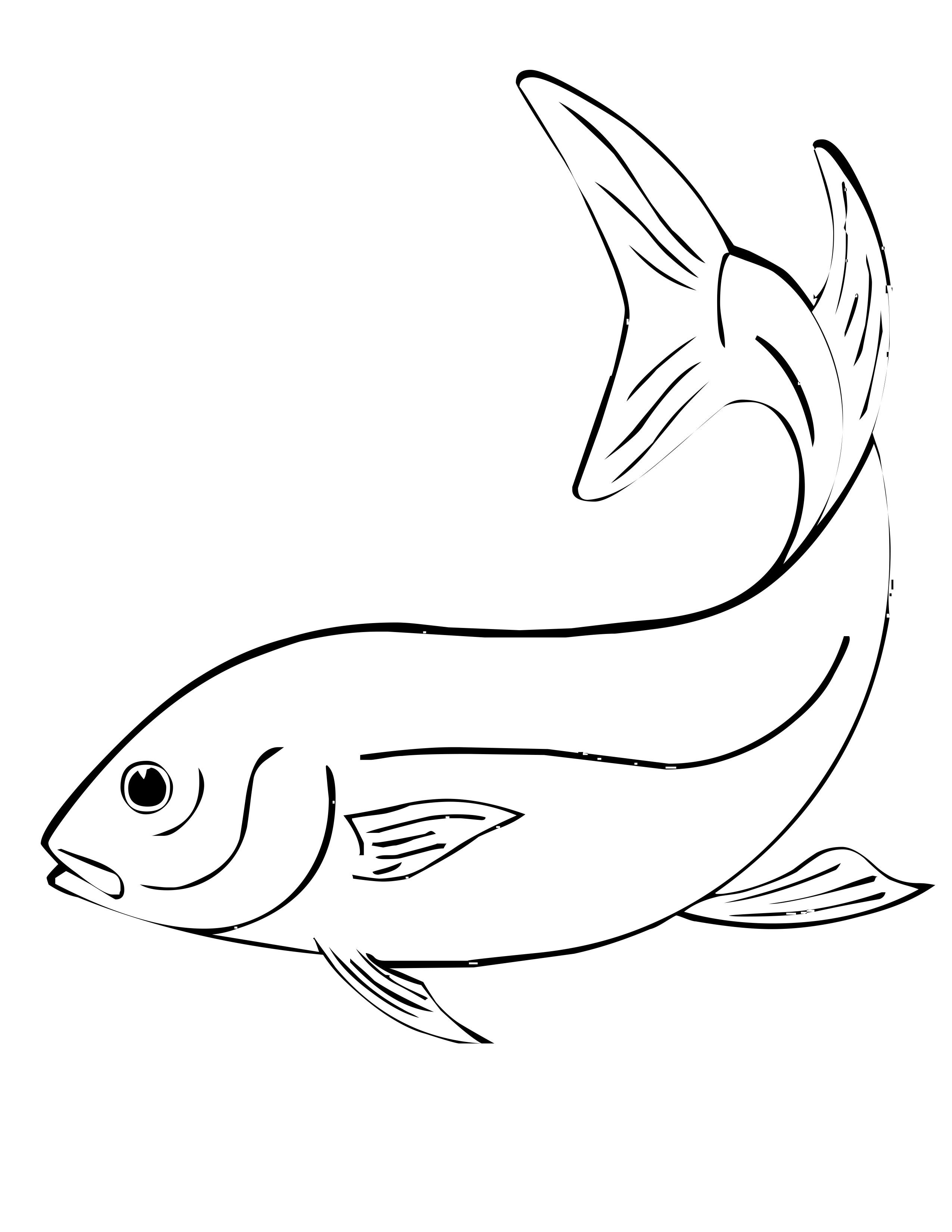 Animales marinos #482