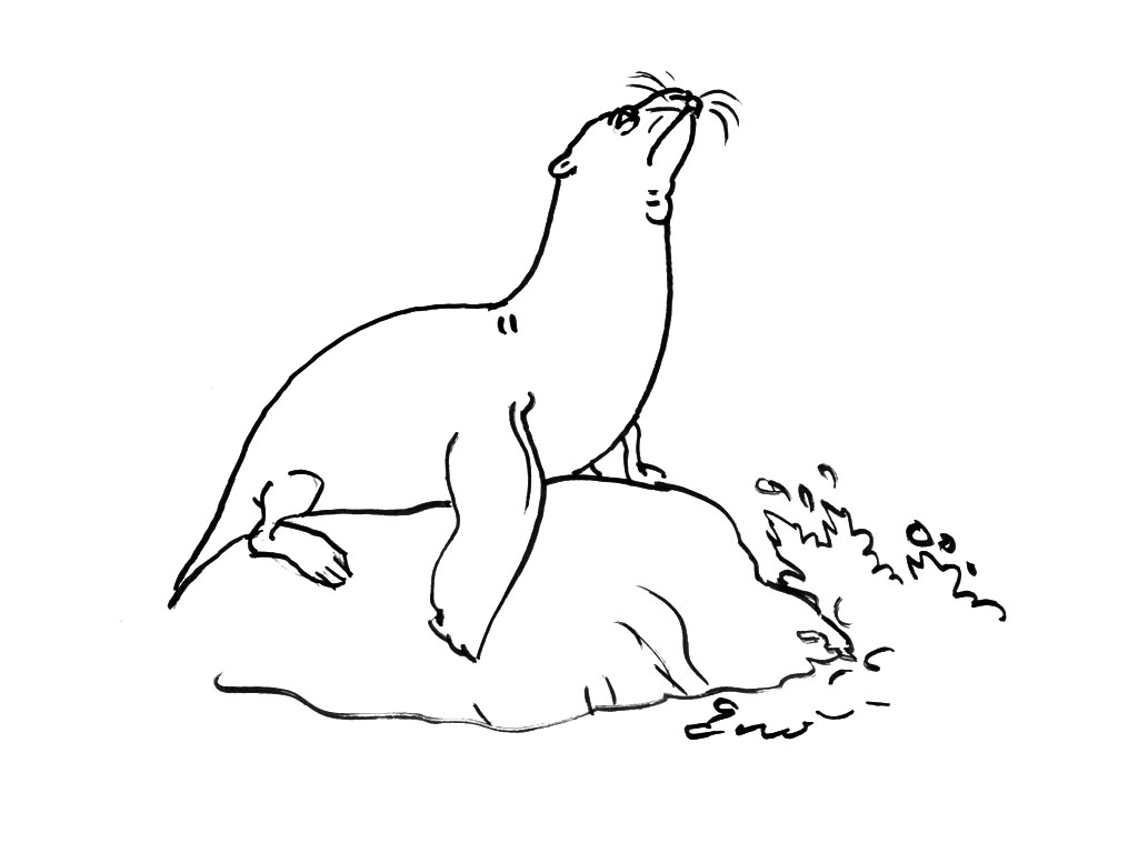 Animales marinos #496