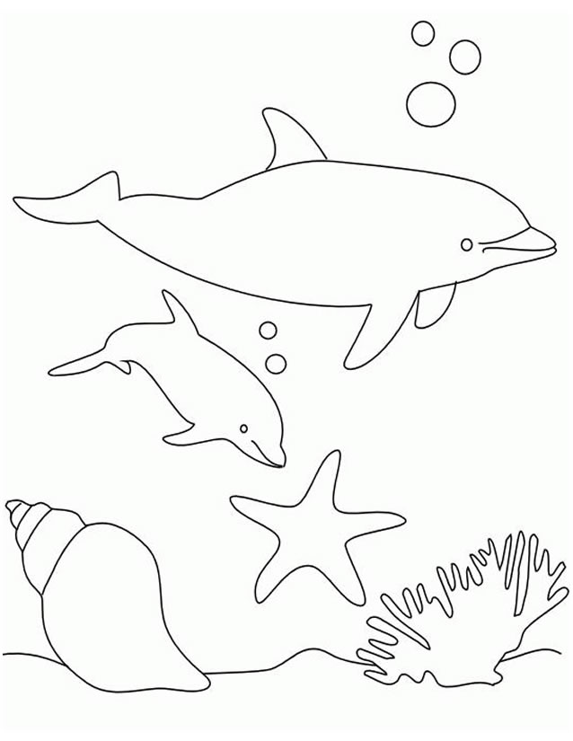 Animales marinos #497