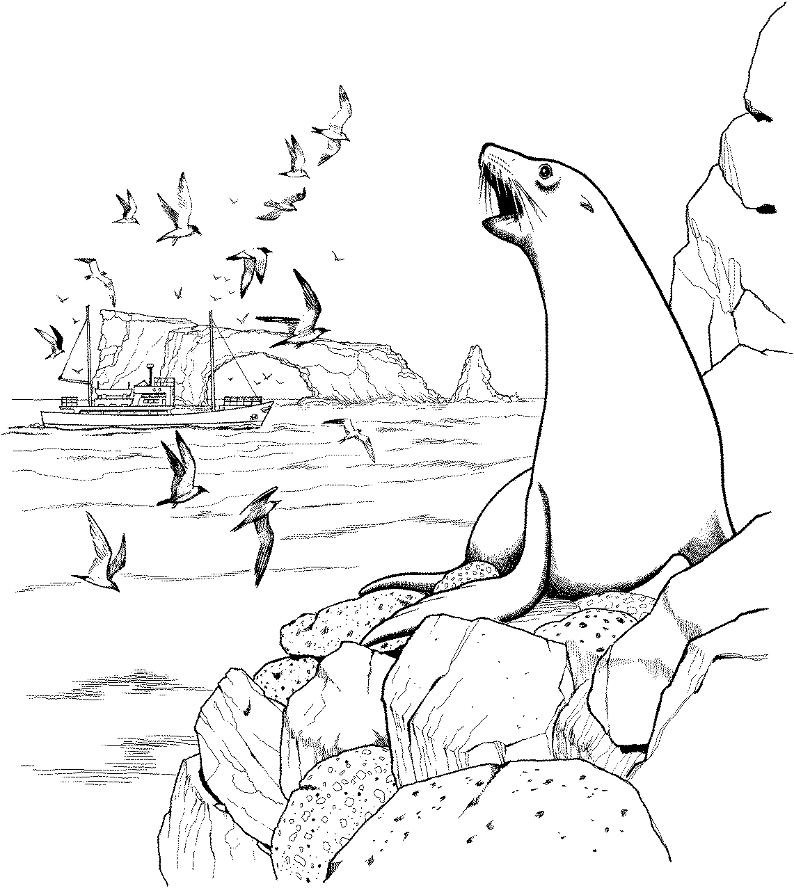 Animales marinos #508
