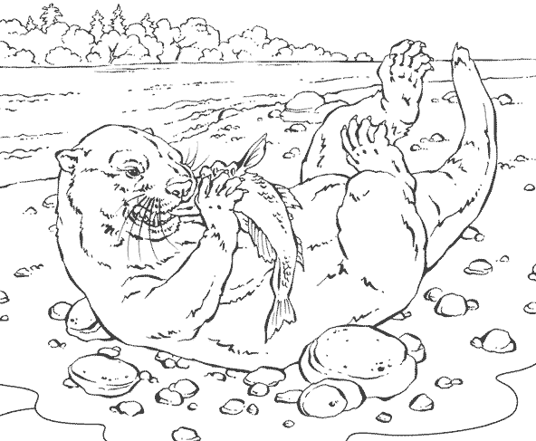 Animales marinos #523