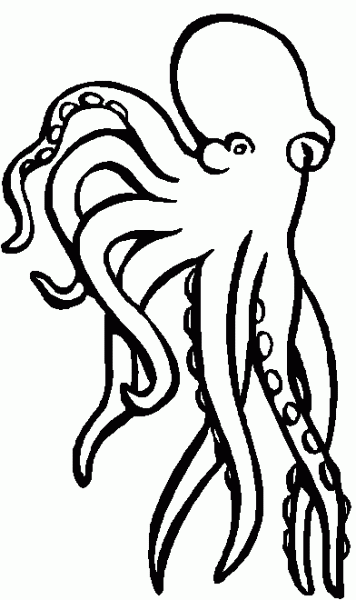 Animales marinos #525