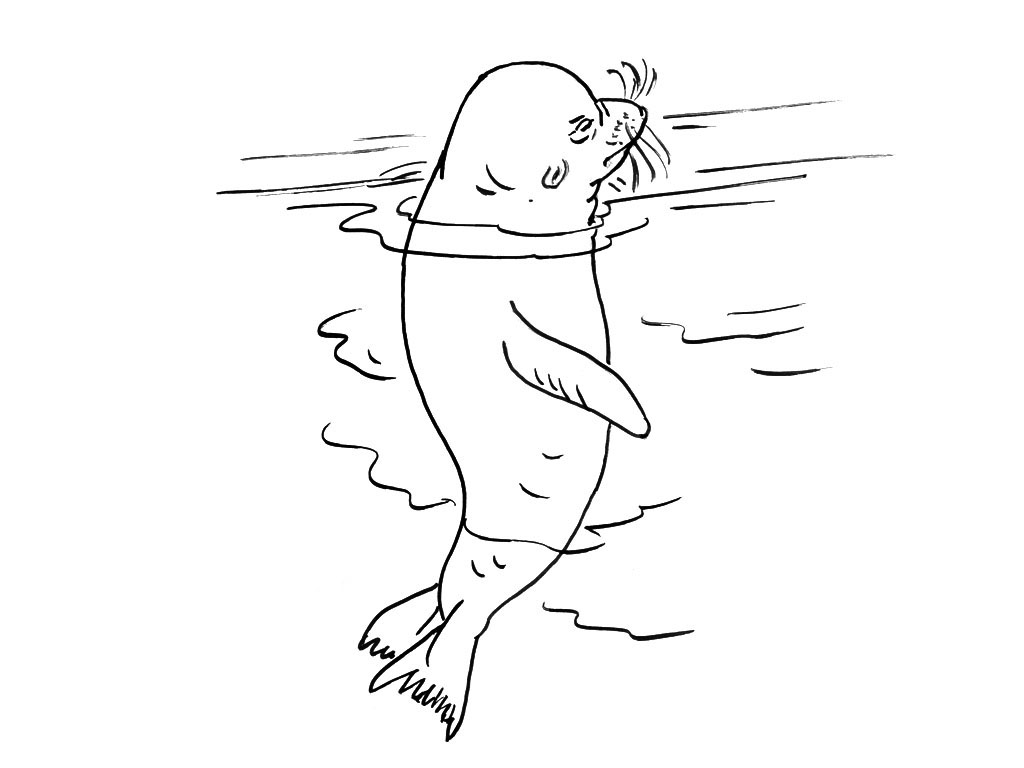 Animales marinos #531