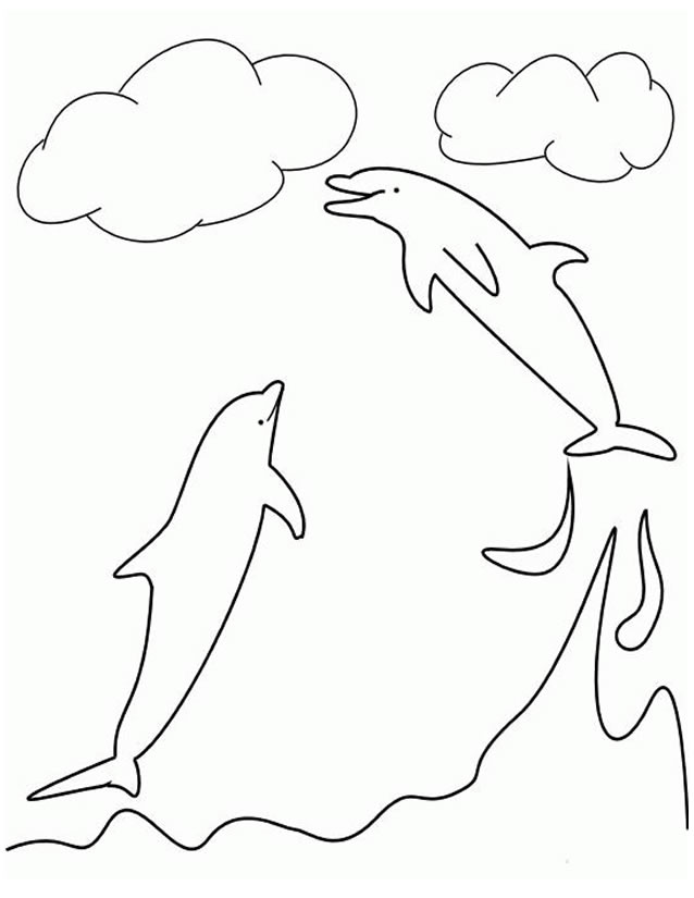 Animales marinos #538