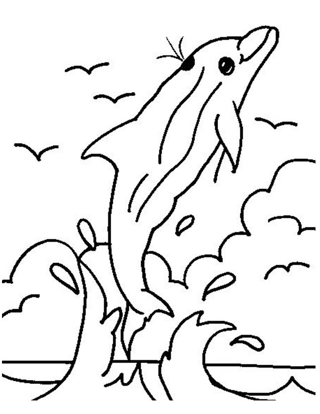 Animales marinos #548
