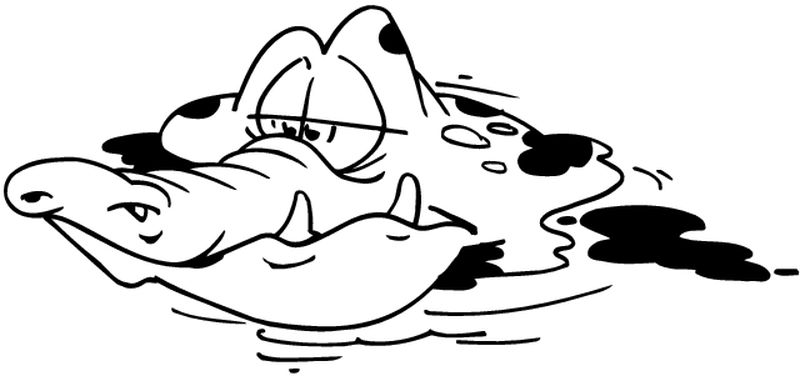 Animales marinos #556