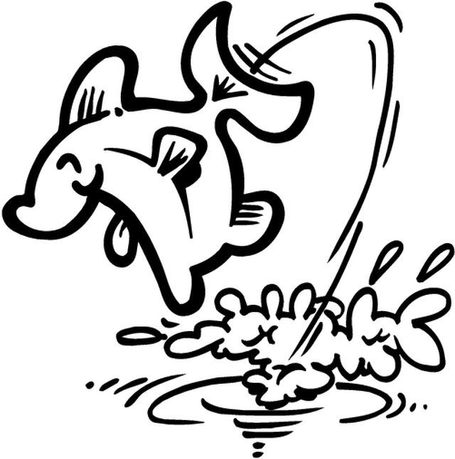 Animales marinos #559