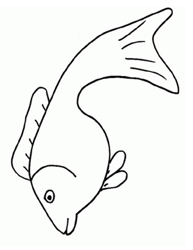 Animales marinos #567