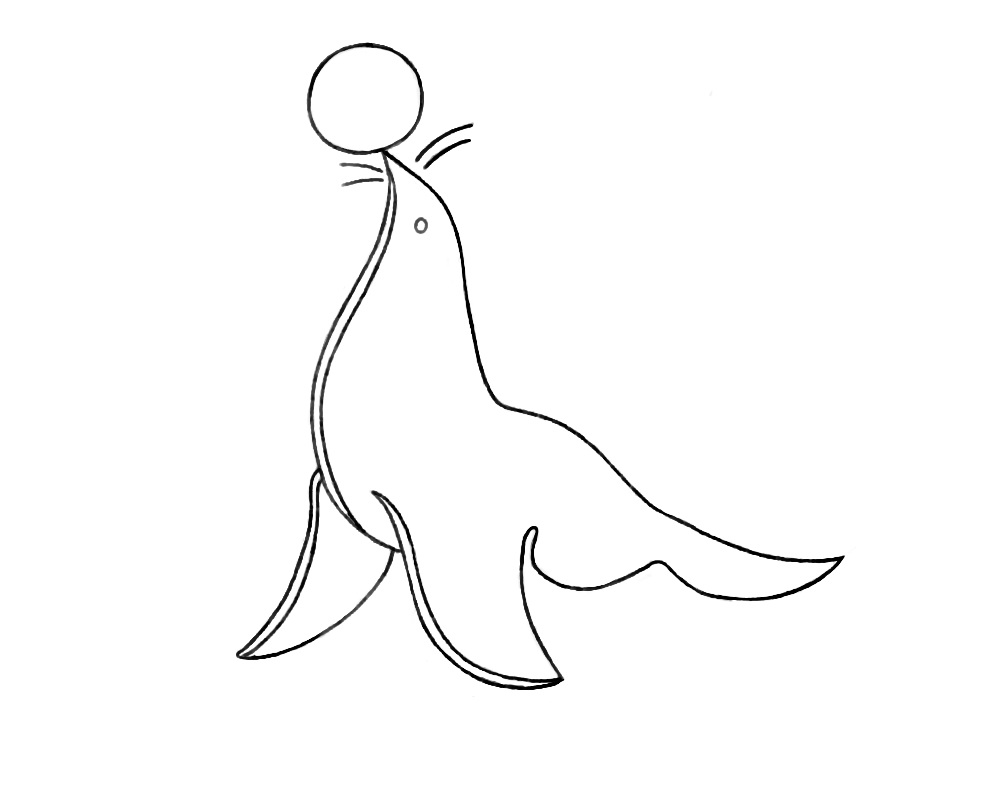 Animales marinos #571