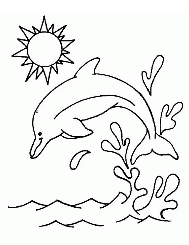 Animales marinos #575