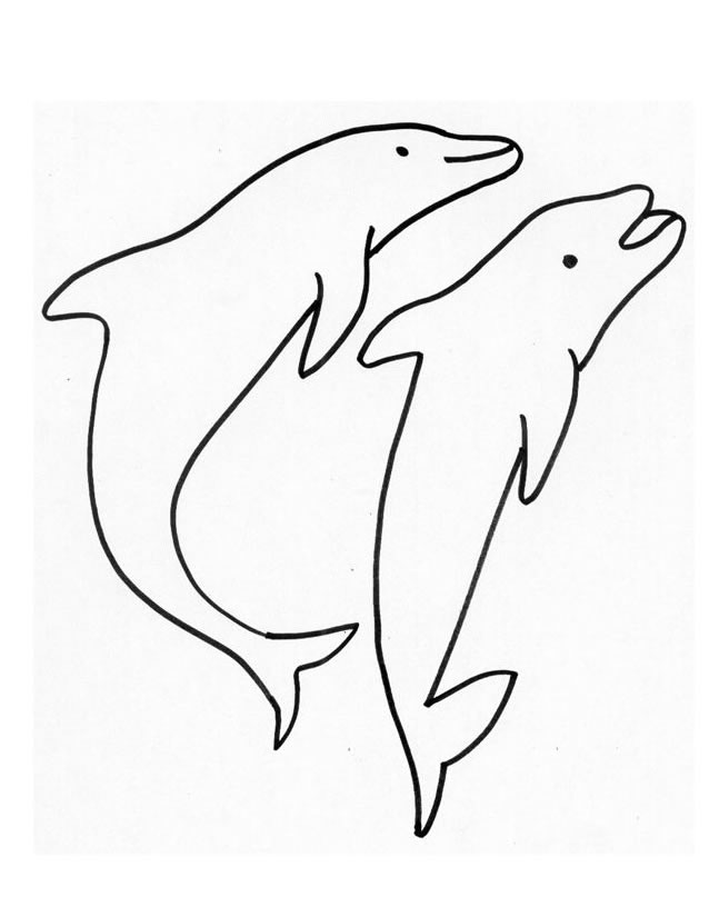 Animales marinos #602