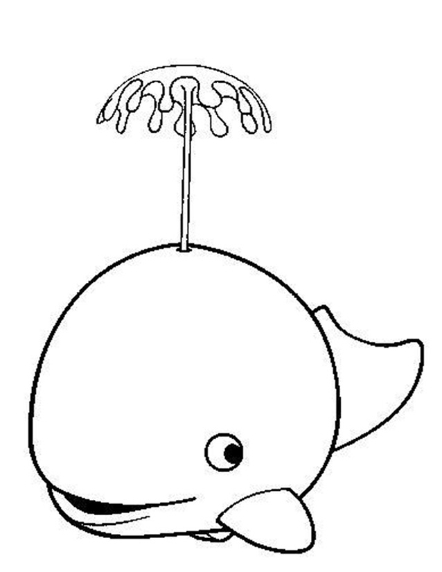 Animales marinos #608