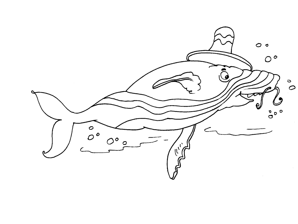 Animales marinos #619