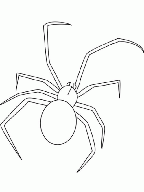 Araña #847