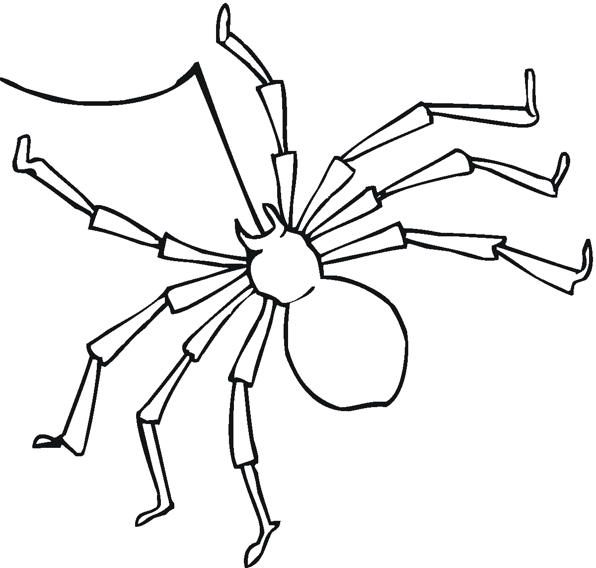 Araña #851