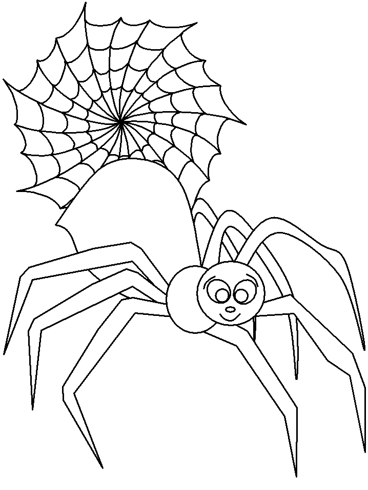 Araña #852
