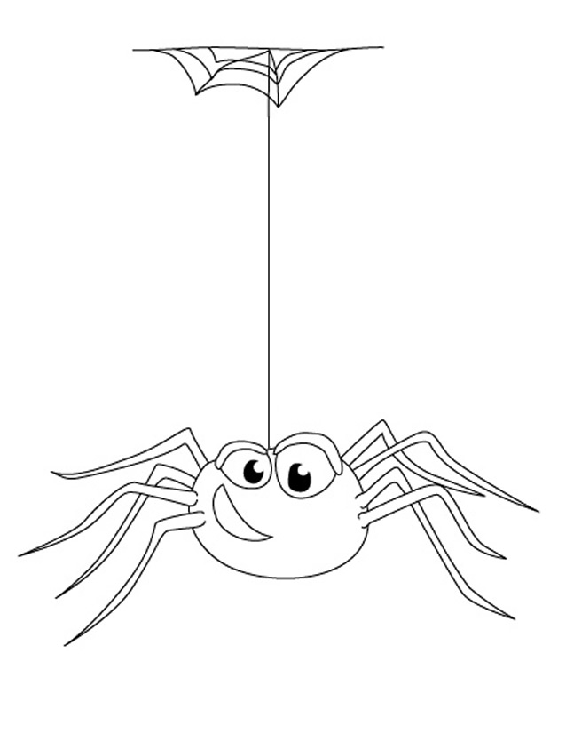 Araña #857