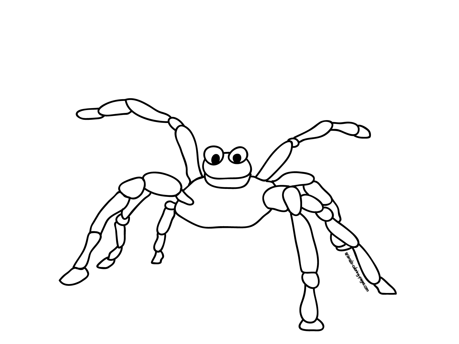 Araña #863