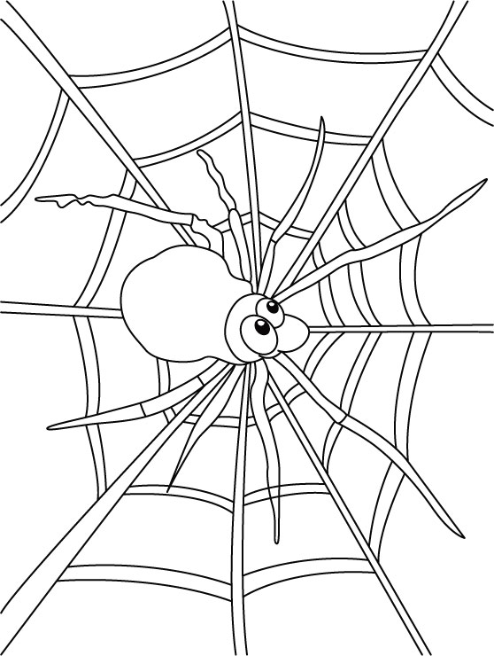 Araña #873