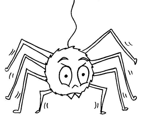 Araña #877