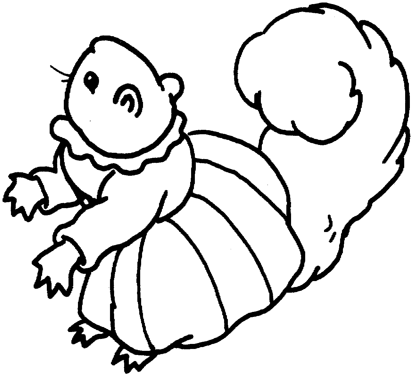 Ardilla #982