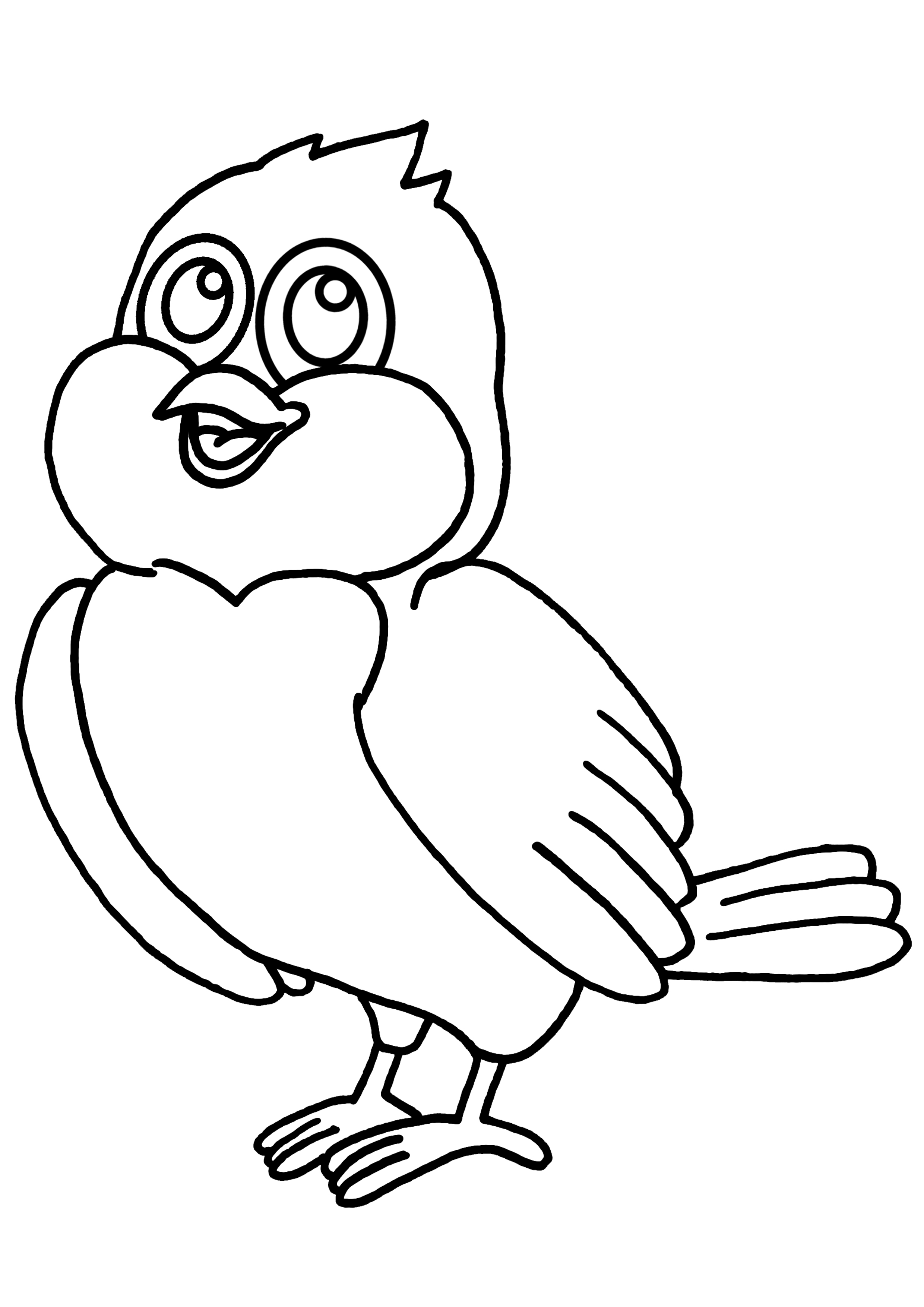Aves #1016