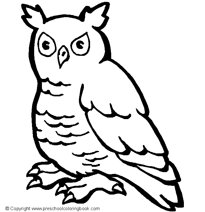 Aves #1045