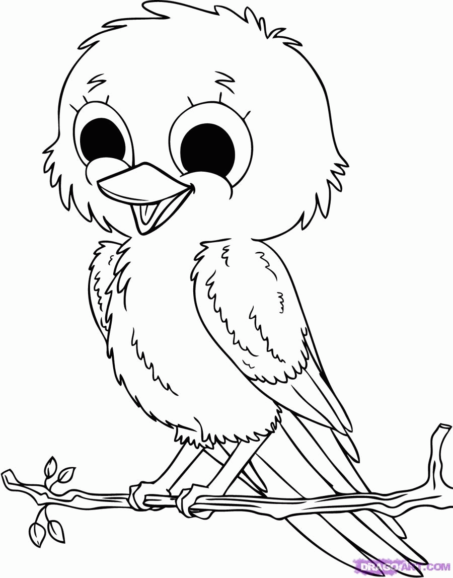 Aves #1050