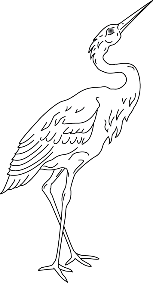 Aves #1069