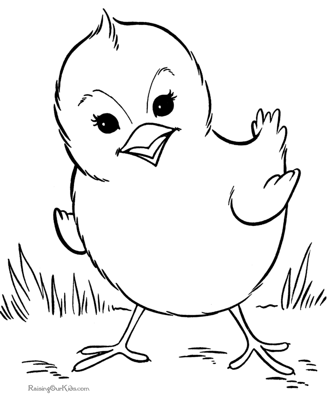 Aves #1079