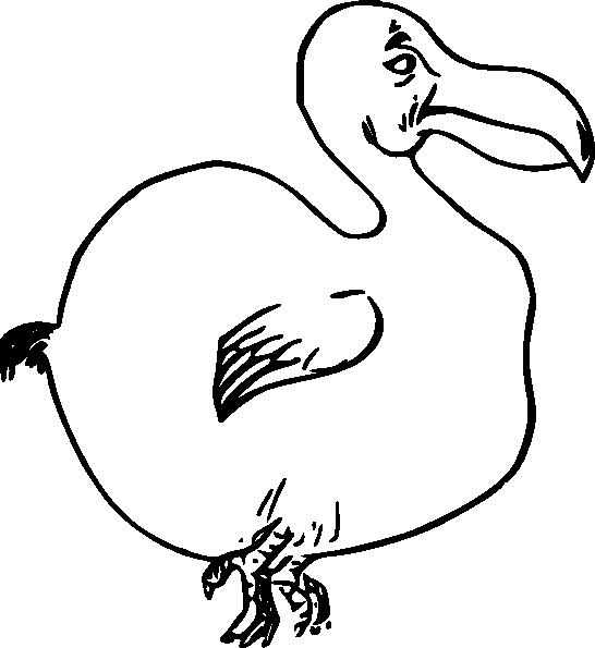Aves #1080