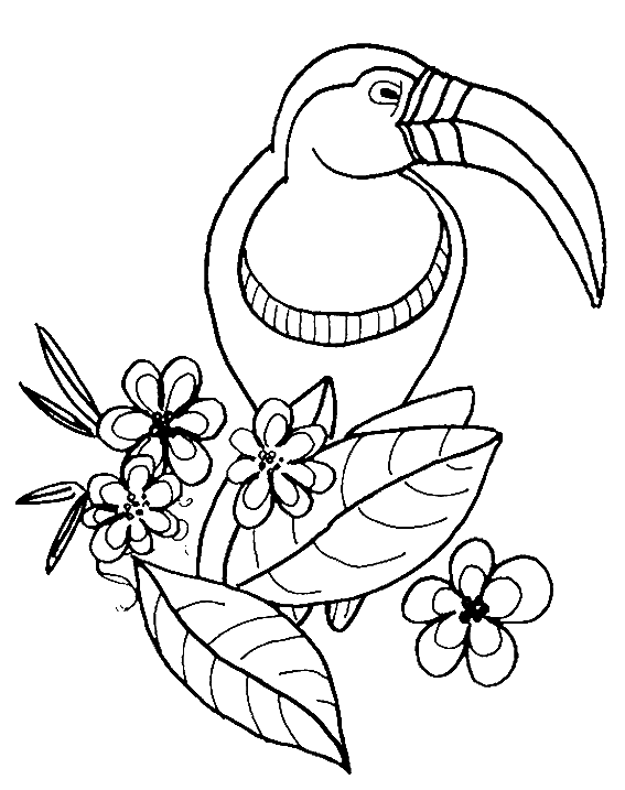 Aves #1082