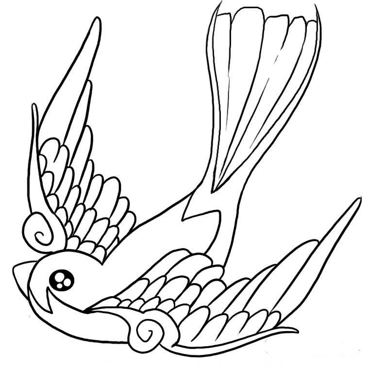 Aves #1097