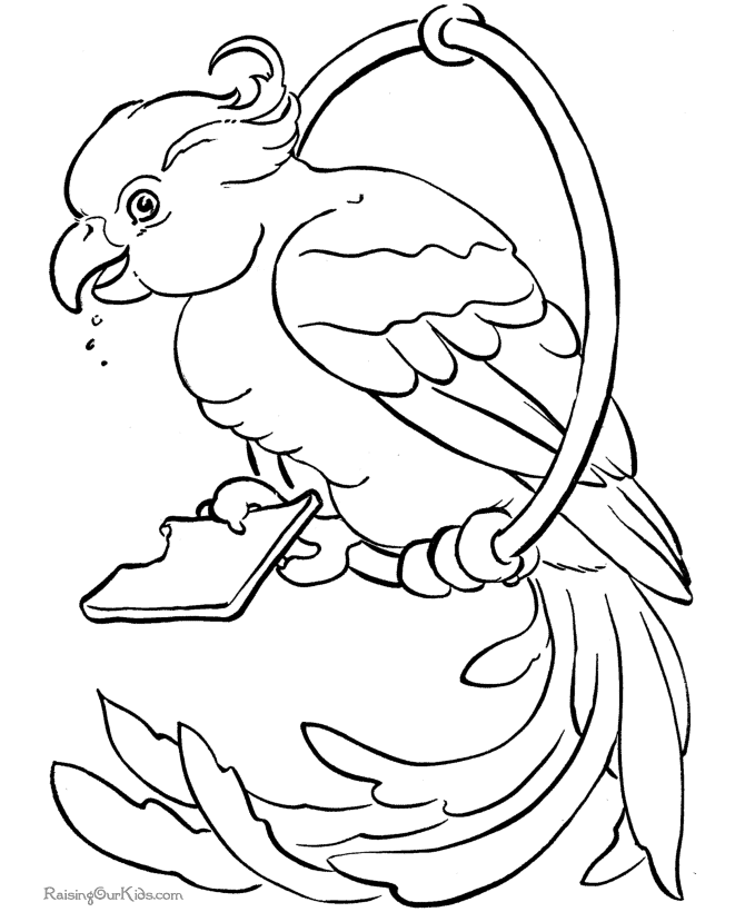 Aves #1109