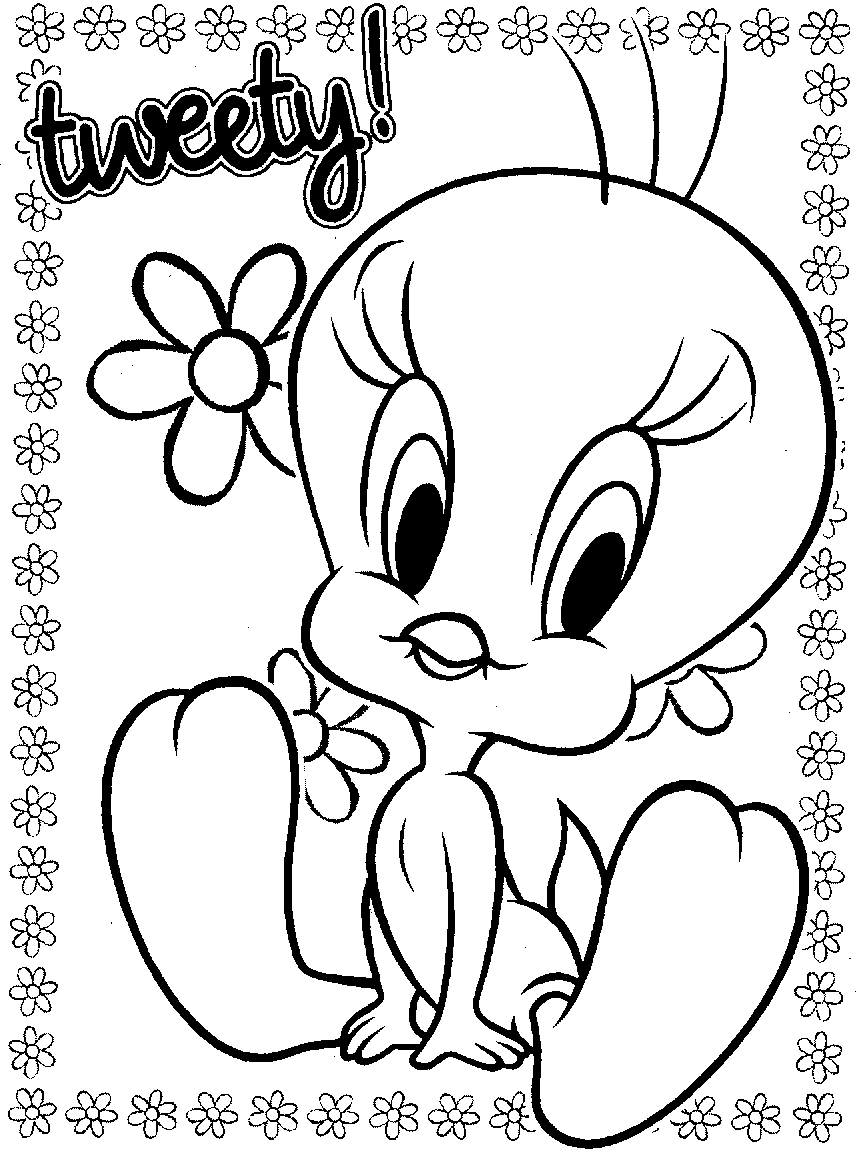 Aves #1112