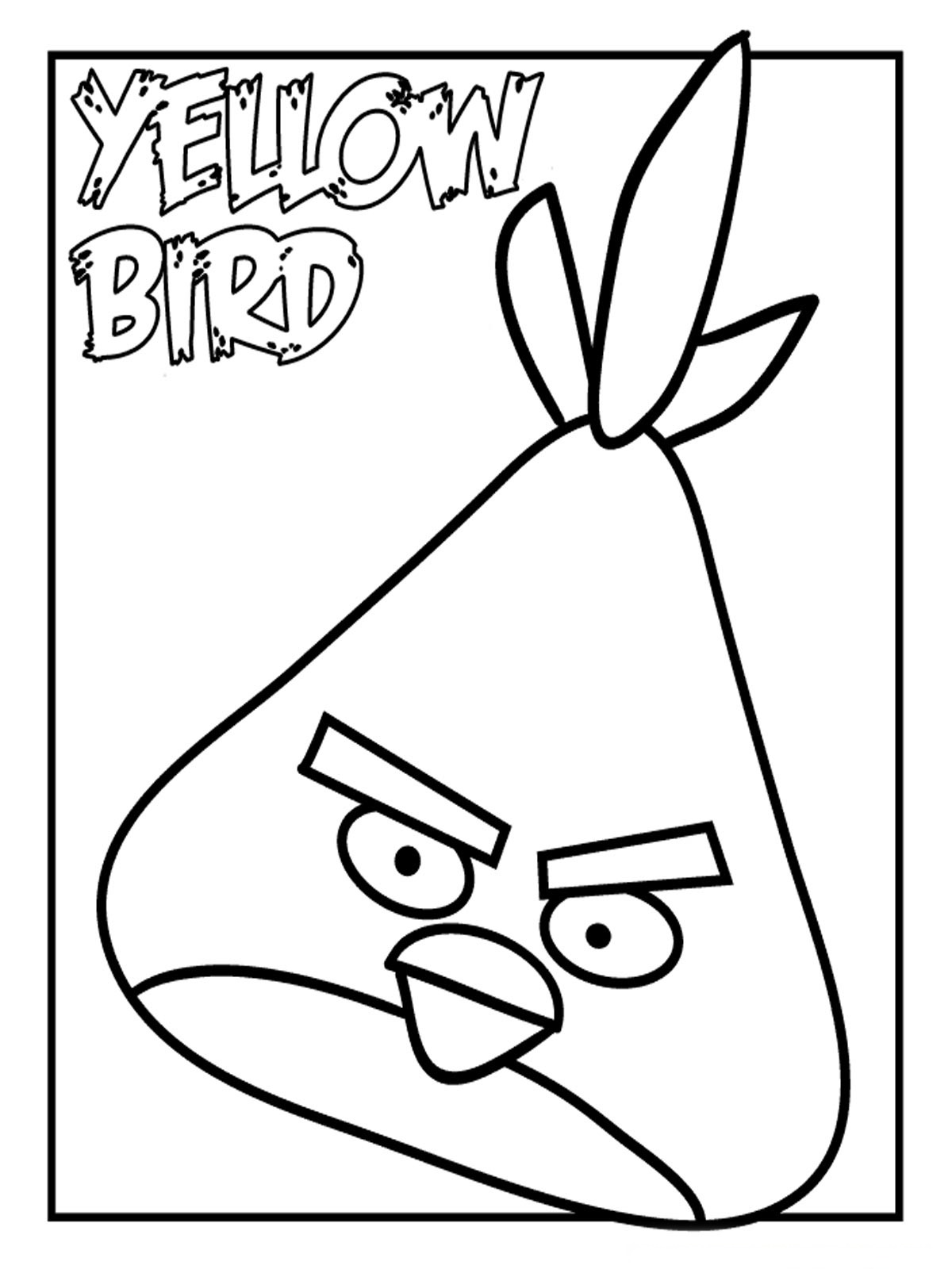 Aves #1115