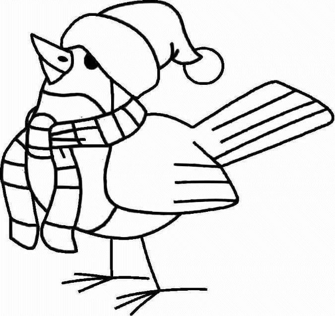 Aves #1117