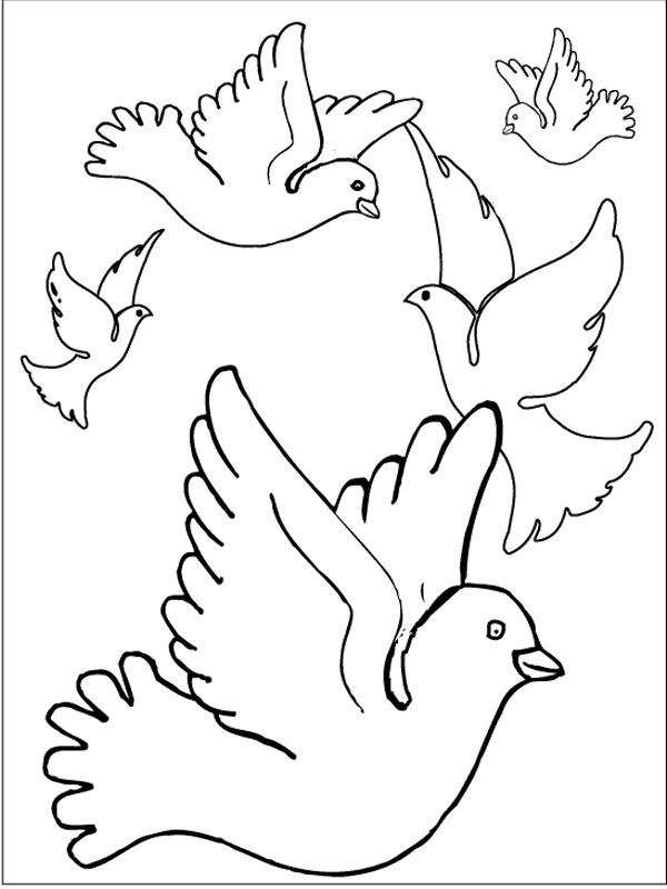 Aves #1118