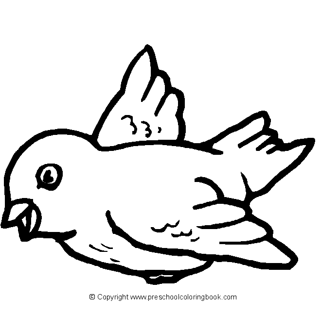 Aves #1123
