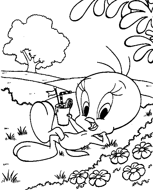 Aves #1135