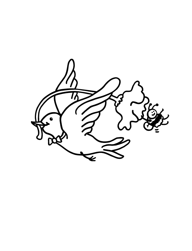 Aves #1155