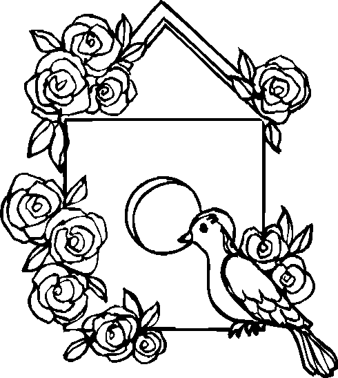 Aves #1160