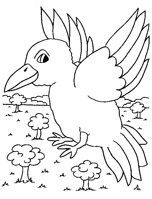Aves #1166