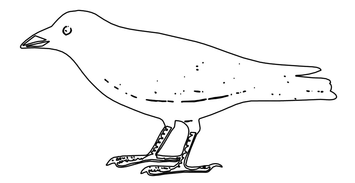 Aves #1167