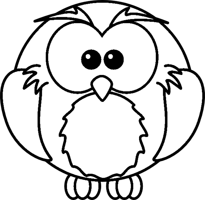 Aves #1172
